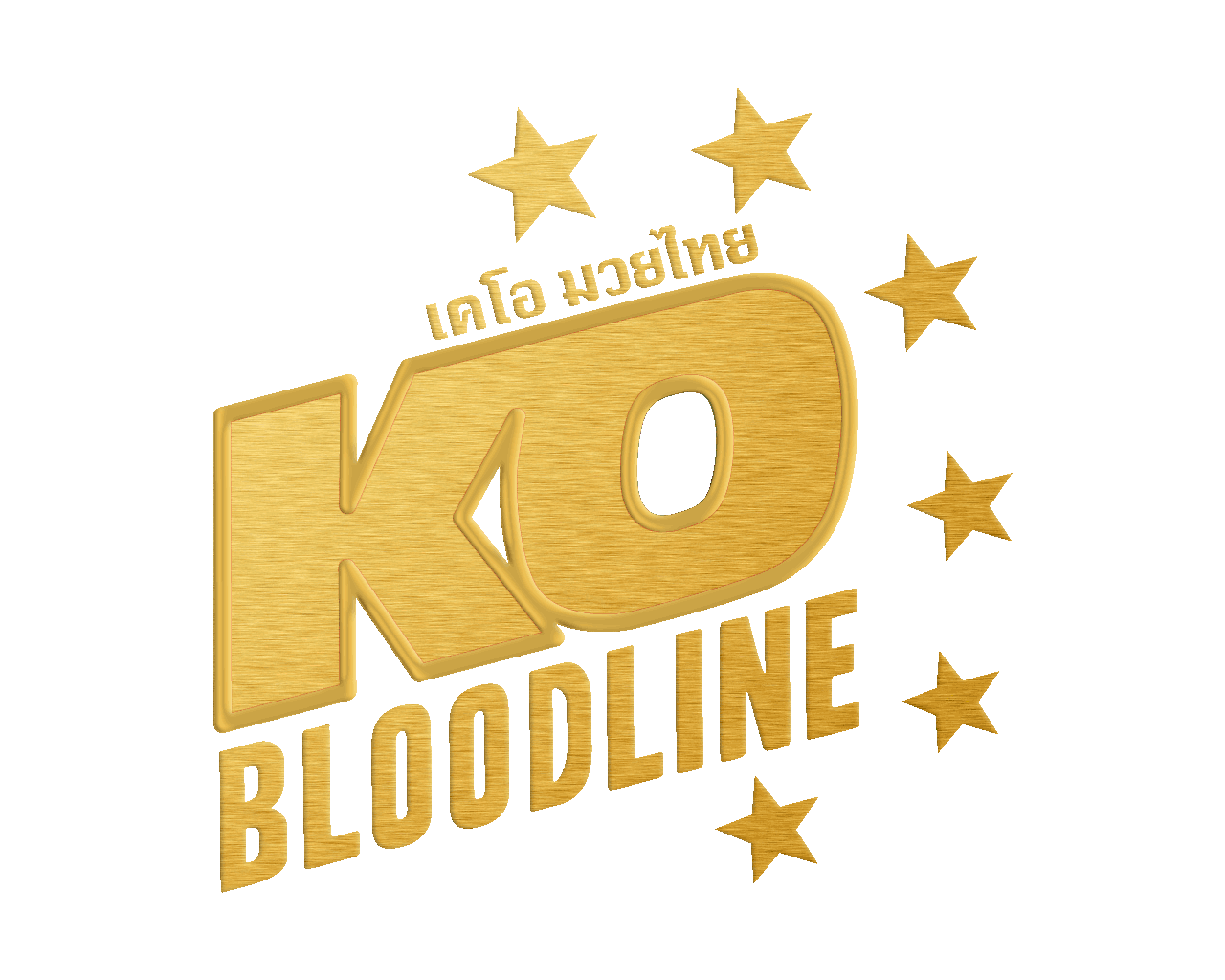 Szkoła Sztuk Walk - KO-BLOODLINE Nysa - Sztuki Walki NYSA